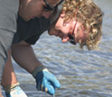 Photo of researchers Bryan Delius and Derek Burkholder taking a small sample from a bull shark.