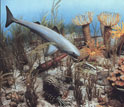 Illustration of life in the Devonian ocean.