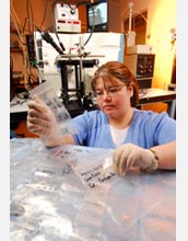 Photo of graduate student Christina Hampton showing samples of drugs.
