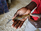 a Macrobrachium river prawn