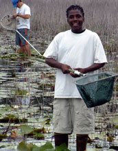 A SPICE participant nets for macroinvertebrates