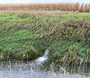 Farm fields