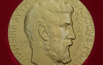 The 14-carat gold Fields Medal