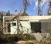 The NSF Luquillo field station was in the direct path of the hurricane.