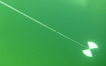 Underwater view of a Secchi disk, used to measure water clarity, dropping through the water column.