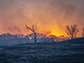 the sun sets over a prescribed burn at the Konza Prairie Biological Station
