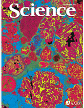 Photo of the June 20, 2008 issue of Science.