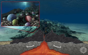 Scientists have found that rocks beneath the seafloor are teeming with microbial life.