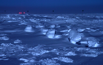 Elevated, mushroom-looking footprints after a snowstorm in Antarctica