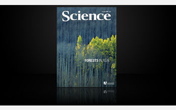 Cover of the June 13, 2008 issue of Science
