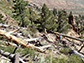 researchers conducted fieldwork in the eastern Sierra Nevada Mountains