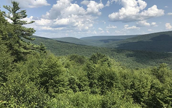 Appalachian Ridge and Valley Region