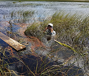 Researcher standing in water up to his shoulders