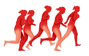 Comparison of body mass movement in the human walk and run.