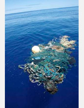 Photo of a large net tangled with plastic in the garbage patch.