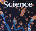 Cover of the January 15, 2010 issue of the journal Science.