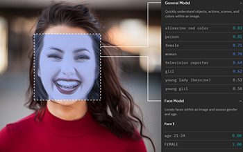 illustration of how facial analysis sees you