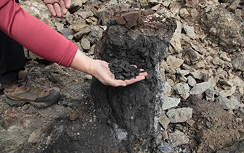 a lump of coal weathering out from Siberian flood basalts