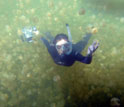 Photo of diver surrounded by jellyfish.