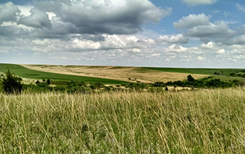 Konza Prairie Biological Station