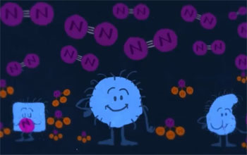 of nitrogen molecules.