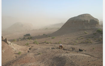 Photo of Jonah Choiniere excavating a sediment block in a sandstorm in China.