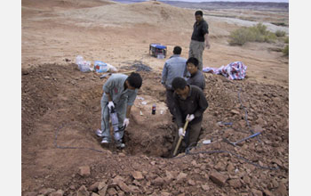 Photo showing the excavation of a dinosaur skeleton by paleontologists.
