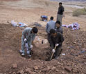 Photo showing the excavation of a dinosaur skeleton by paleontologists.