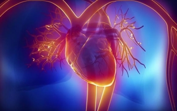 computer simulation of a human heart