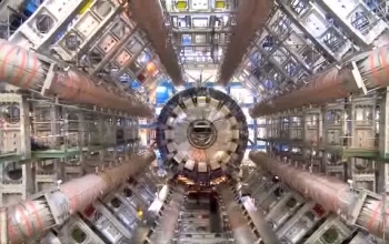 looking into a large particle detector