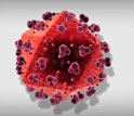 Close-up image of the hiv-1 virus capsid