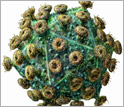 sclose-up image of the HIv virus