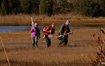 Three researchers with equipment in an area of grass and water
