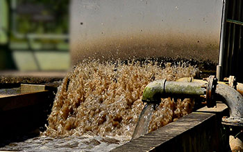 Human Water Cycle: Wastewater 