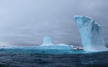 Icebergs near Palmer Station, Antarctica