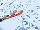 The Korean icebreaker Araon