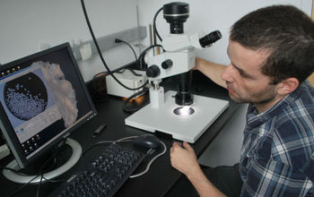 Scientist Leo Pena analyzes fossil plankton shells on a computer to reconstruct ocean circulation.