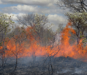Fires in Kruger National Park, South Africa, August 2010.