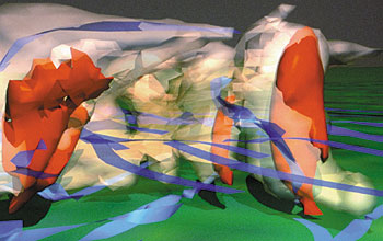 three-dimensional model of a thunderstorm