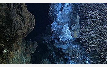 Photo of a hydrothermal vent.