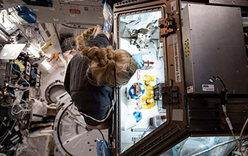 NASA astronaut conducts tissue engineering research aboard the International Space Station
