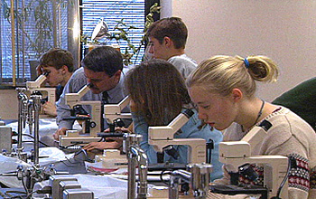Photo of two boys, two girls and their teacher in science class