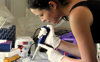 Researcher Sarah Jobbins works in a field laboratory in Botswana, testing for leptospirosis.