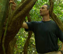 ecologist Stefan Schnitzer who studies lianas or woody vines in tropical forests.