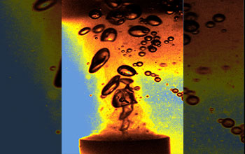 Gas bubbles form and collapse when a liquid is energized by ultrasound