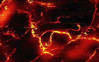 Raman scattering images of carbon nanotubes