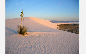 Photo of White Sands, New Mexico.