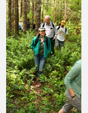 Photo of people walking through a forest.