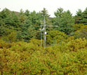 Photo of the Harvard Forest site where forest carbon exchange measurements are conducted.