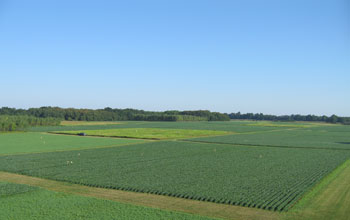 NSF's Kellogg Biological Station LTER site.